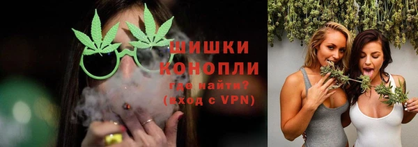 PSILOCYBIN Алзамай