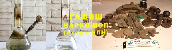 PSILOCYBIN Алзамай