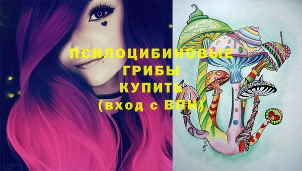 PSILOCYBIN Алзамай