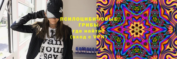 PSILOCYBIN Алзамай