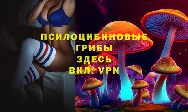 прущие грибы Алексеевка