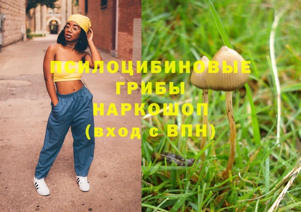PSILOCYBIN Алзамай