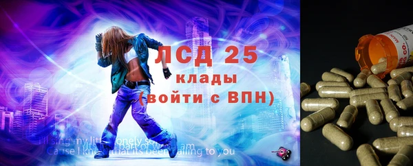 прущие грибы Алексеевка