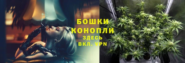 трава Нязепетровск